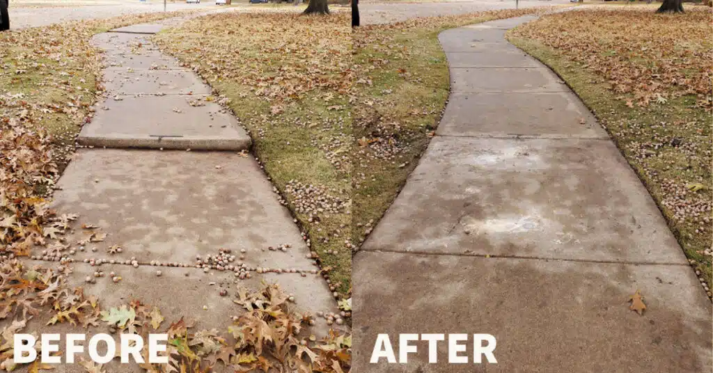 sidewalk covered in leaves before and after