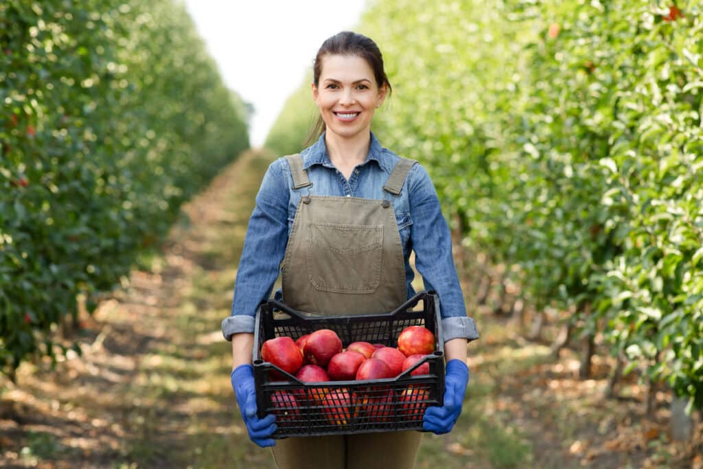 farmers holding basket of apples