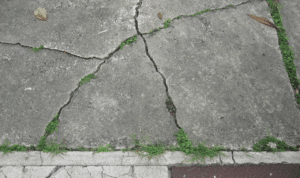 Cracked sidewalk in need of concrete repair