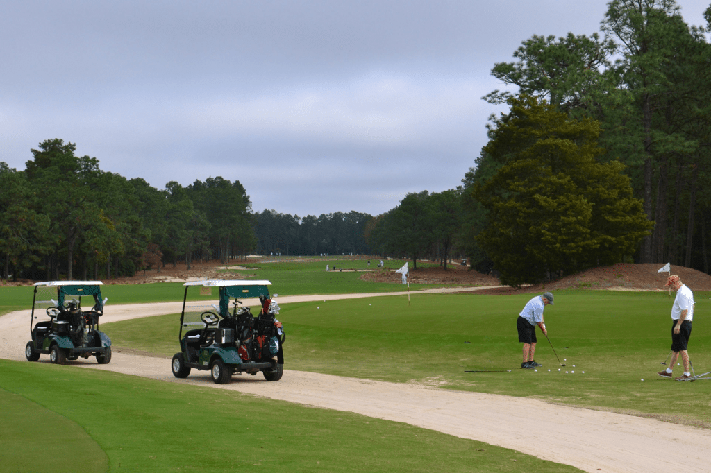 Golf Cart Path Repair