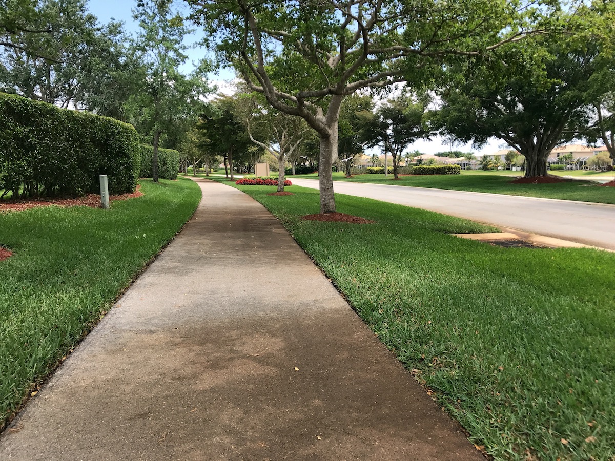 sidewalk in grass