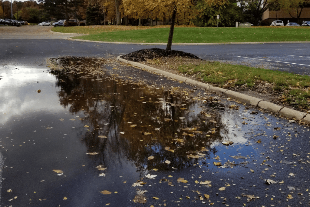 Parking lot repair near me