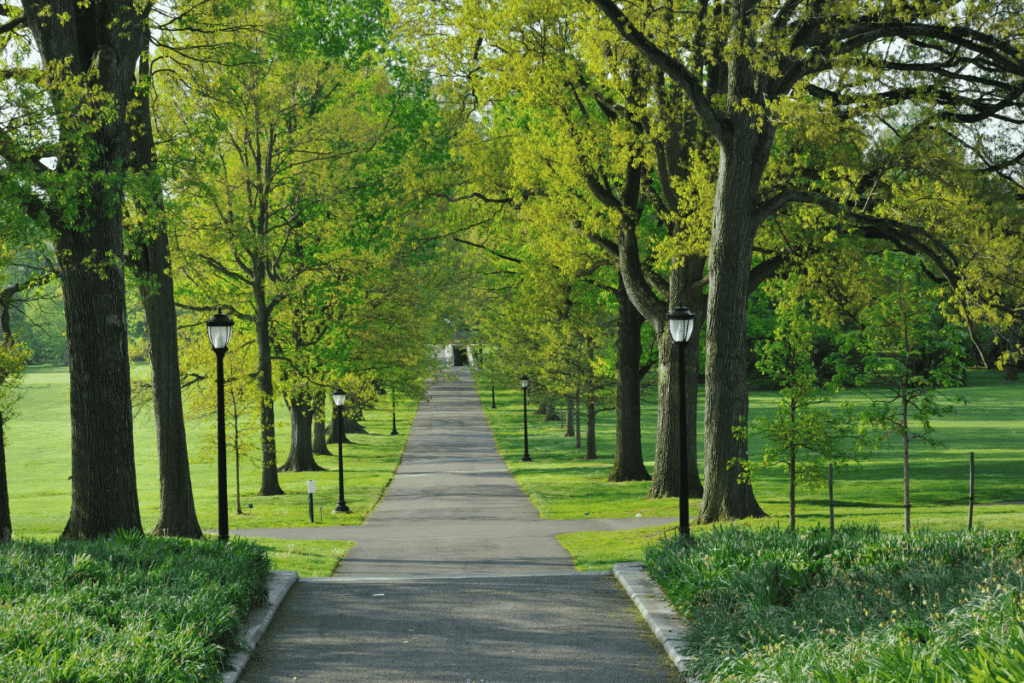 municipal walkways