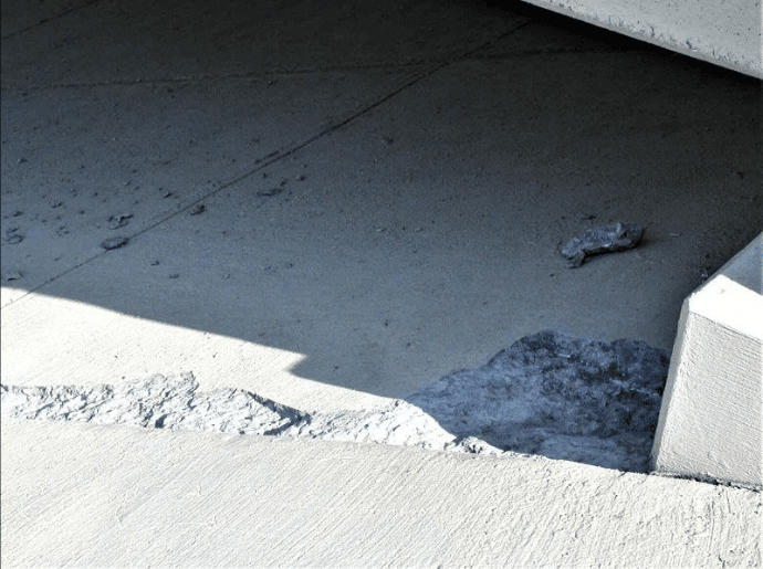 Highway Bridge Underpass in DFW Texas Cracked Concrete