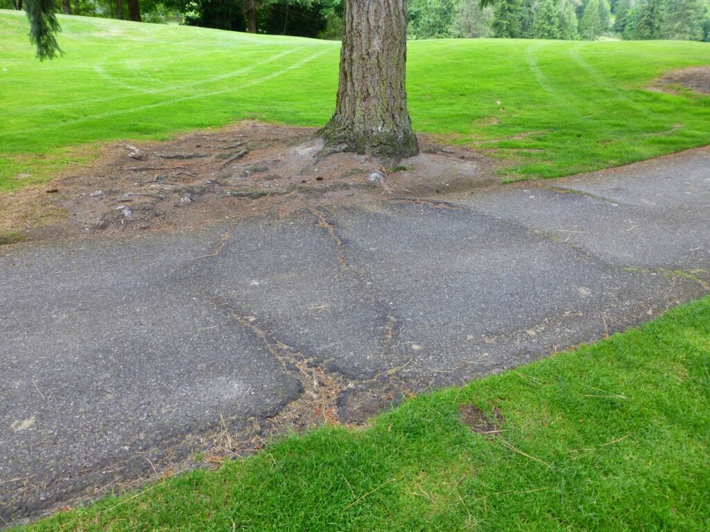 Golf Cart Path Repair Dallas Fort Worth - Golf Cart Track Repair Dallas - Gold Cart Road Repair Dallas